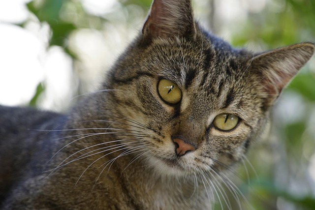 Bewegung, spiel und spaß: Die bausteine für kindliche lebensfreude